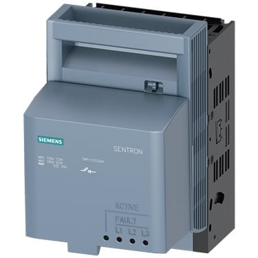  3NP1123-1CA24 Siemens 