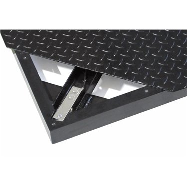 P1250 Laumas Elettronica