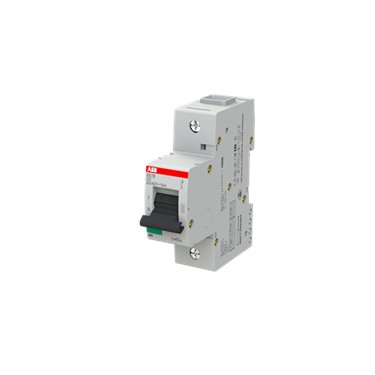 2CCS811001R0804 ABB S801B-C80