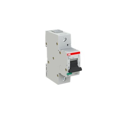 2CCS811001R0804 ABB S801B-C80