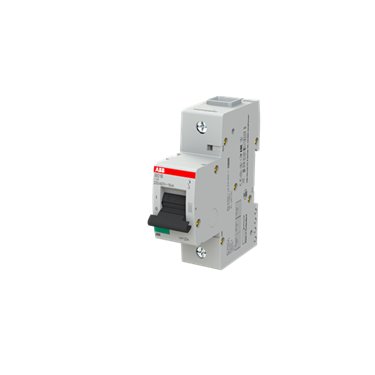 2CCS811001R0844 ABB S801B-C125