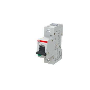 2CCS811001R0845 ABB S801B-B125