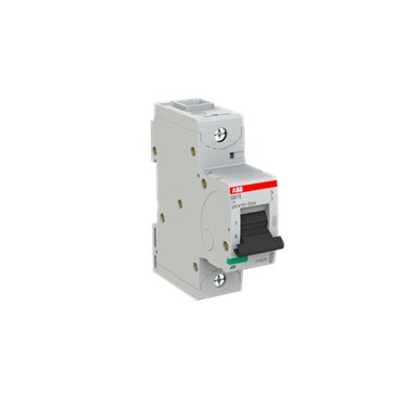 2CCS861001R0804 ABB S801S-C80