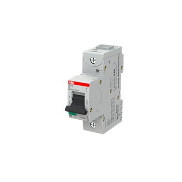 2CCS891001R0204 ABB S801N-C20