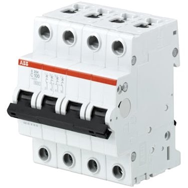 2CDS254001R0804 ABB S204-C80