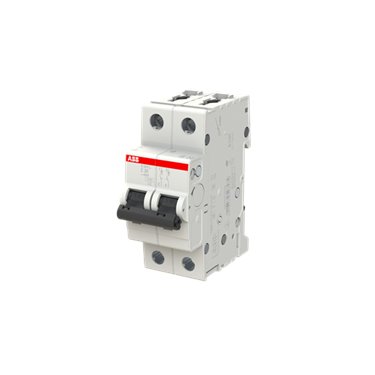 2CDS242701R0204 ABB S202L-C20