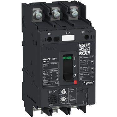  GV4PE115N6 Schneider Electric 