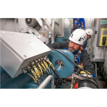 556-80572 HellermannTyton - TAGPU25X75-4-PUR-VT