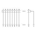 2904950 Phoenix Contact - Safety relays - PSR-MS20-1NO-1DO-24DC-SC