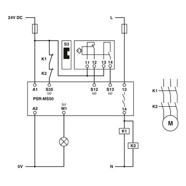 2904956 Phoenix Contact - Safety relays - PSR-MS50-1NO-1DO-24DC-SC