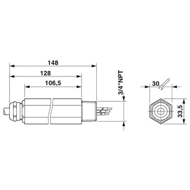 2882585 - Phoenix Contact - S-PT-EX(I)-24DC-3/4"
   