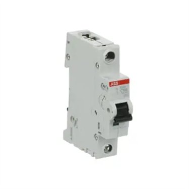 2CDS251001R0824 ABB S201-C100