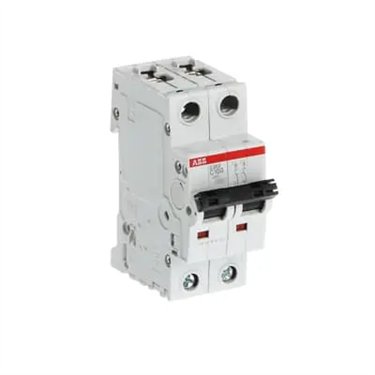 2CDS252001R0824 ABB S202-C100
