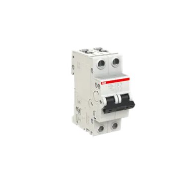2CDS252001R0825 ABB S202-B100