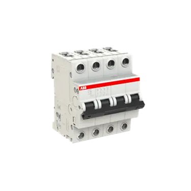 2CDS254001R0804 ABB S204-C80