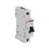 2CDS271001R0064 ABB S201M-C6
