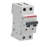 2CDS272001R0064 ABB S202M-C6