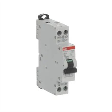 2CDS252280R0255 ABB S202C-B25