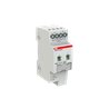 2CDG110265R0011 ABB SA/S2.16.5.2