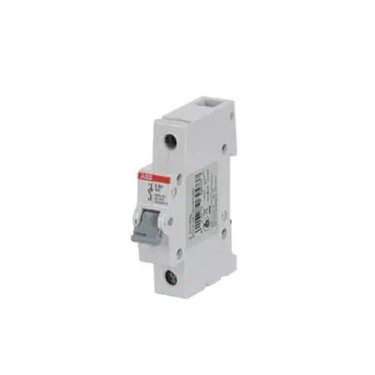 2CDE281001R1080 ABB E201/80G