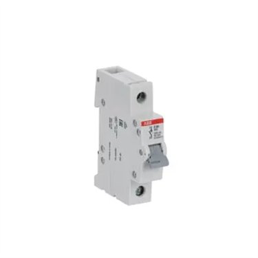 2CDE281001R1080 ABB E201/80G