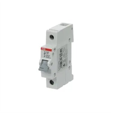2CDE281001R1100 ABB E201/100G