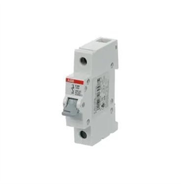 2CDE281001R1125 ABB E201/125G
