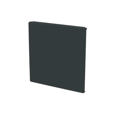LFW/A.1.63.1-81 ABB Cover plate