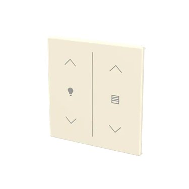 LFDW/A.2.63.1-82 ABB Cover plate