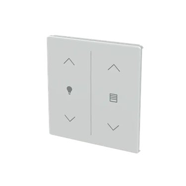 LFDW/A.2.63.1-83 ABB Cover plate
